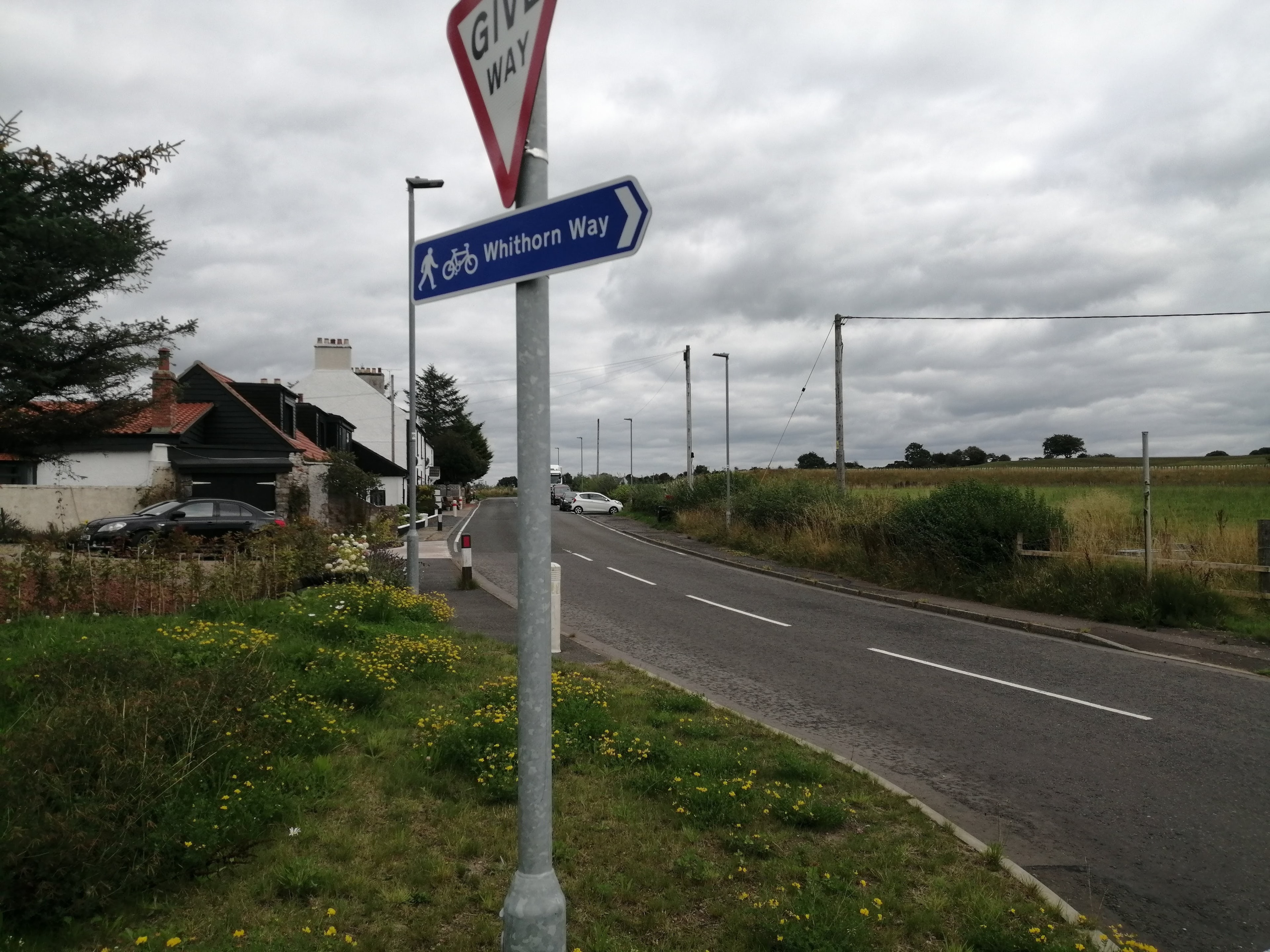 Blue road finger post sign reading Whithorn Way with walker and cyclist symbols